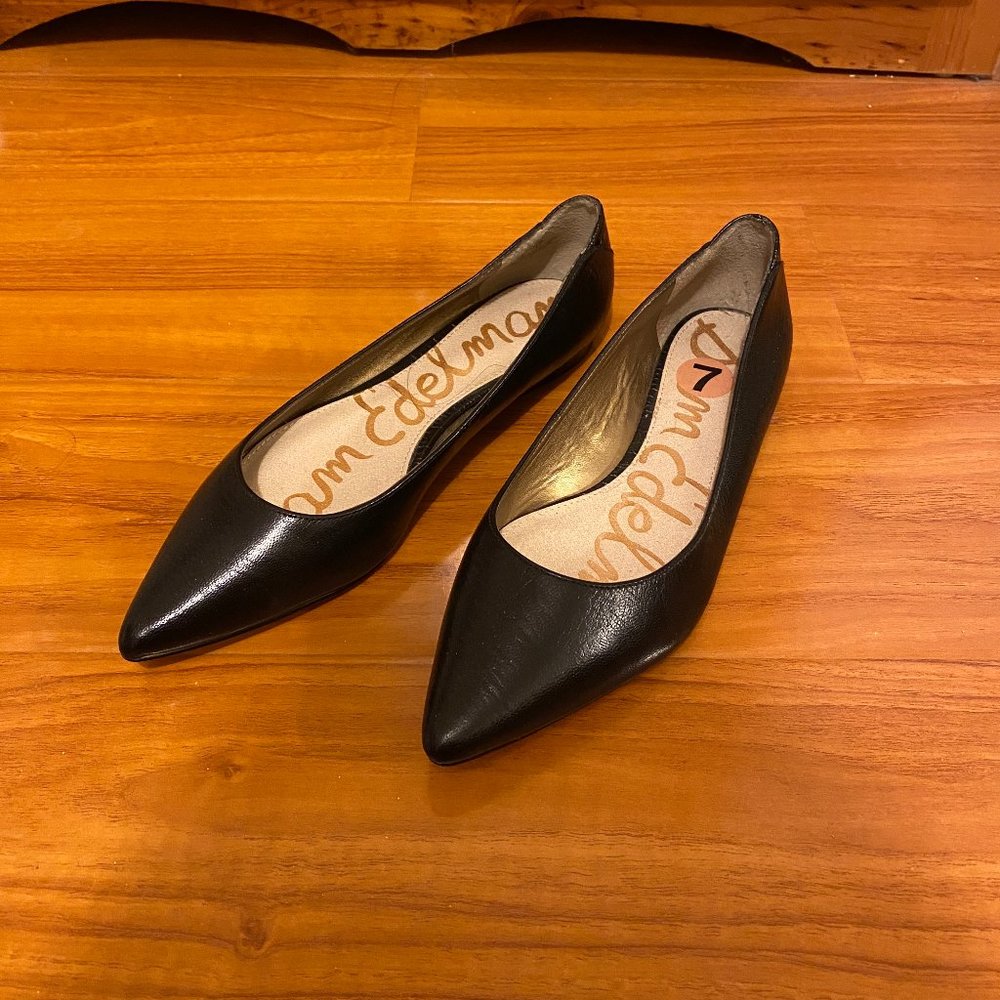 Sam Edelman Rae Pointed Toe Flats - Picture 4 of 4